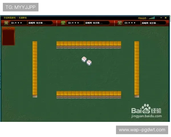 PG麻将来了新手入门指南，详细讲解游戏规则和最佳策略推荐